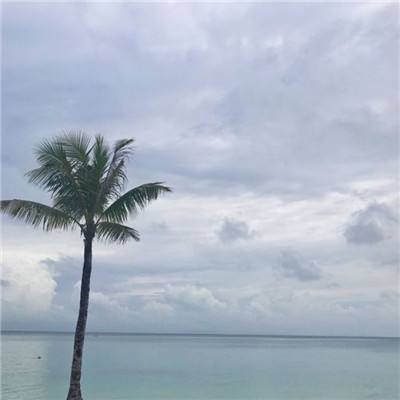 江南全站app下载官方网站